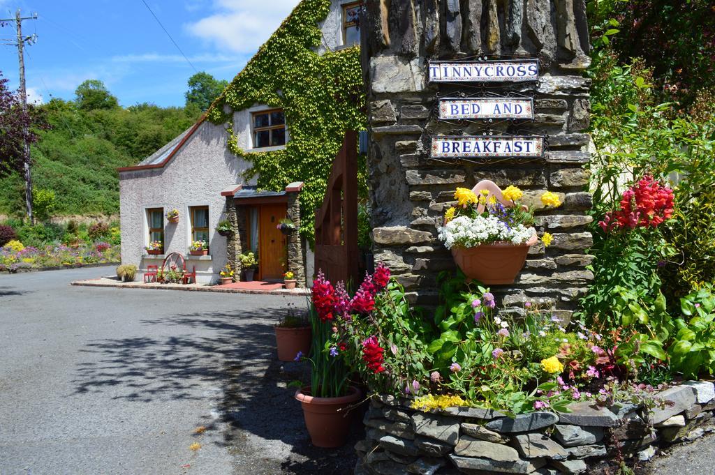 Tinnycross House B&B Ballymore Eustace Eksteriør bilde