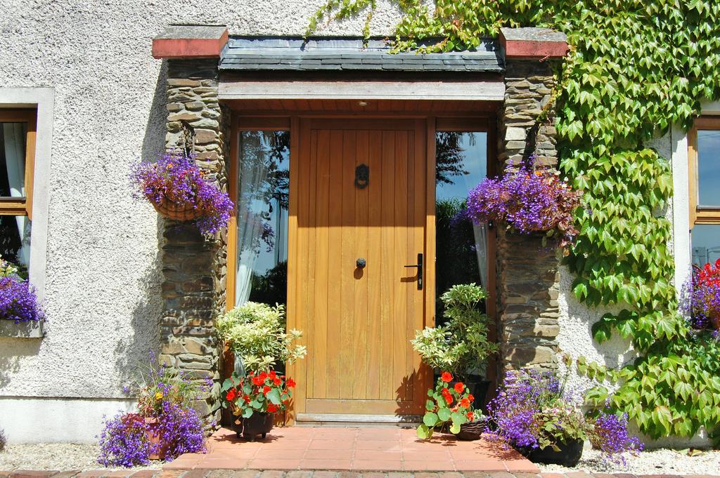 Tinnycross House B&B Ballymore Eustace Eksteriør bilde